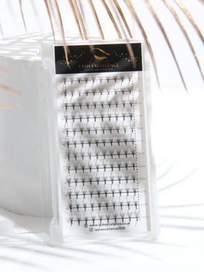 Premade Fans 0.05 D Curl